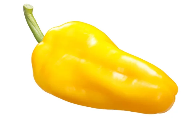 Giant Yellow Patrizia Pepper Capsicum Annuum Целый Стручок — стоковое фото