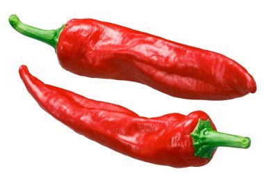Aleppo biber (Capsicum annuum), taze olgunlaşmış bütün bakla