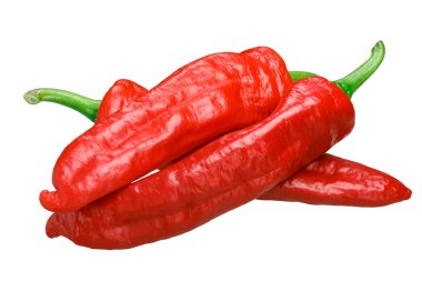 Aleppo biber (Capsicum annuum), taze olgunlaşmış bütün bakla