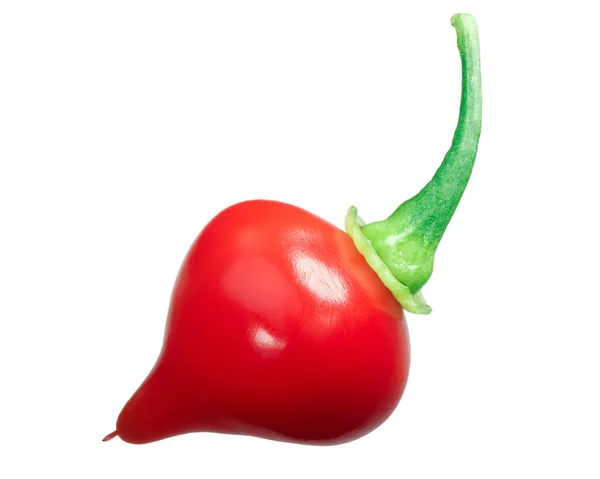 Chupetinho Chile Biquinho Capsicum Chinense Vaina Fresca Madura — Foto de Stock