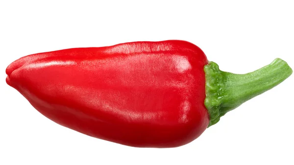 Bask Gorria Kırmızı Biberi Tüm Kabuk Capsicum Annuum Meyvesi — Stok fotoğraf