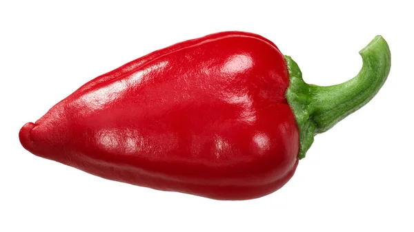 Papryka Czarna Gorrią Baskijską Cała Kapsułka Owoce Capsicum Annuum — Zdjęcie stockowe