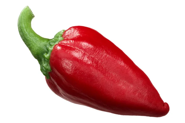 Papryka Czarna Gorrią Baskijską Cała Kapsułka Owoce Capsicum Annuum — Zdjęcie stockowe