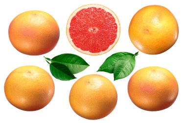 Greyfurt (Citrus x paradisi), bütün ve yarı yarıya, yapraklar