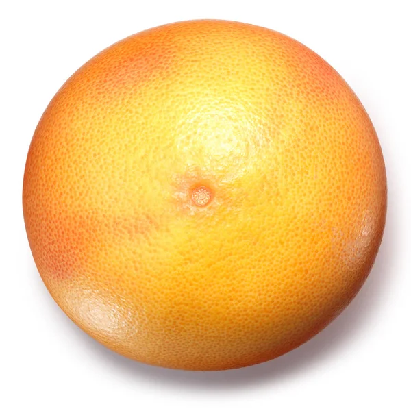 グレープ フルーツ 柑橘類 Paradisi 全体の新鮮なフルーツ トップ ビュー — ストック写真