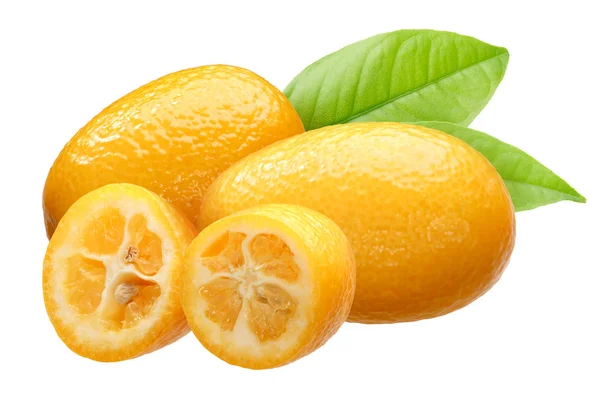 Kumquat Citrus Japonica Fruit Hármas Csoport Levelekkel — Stock Fotó