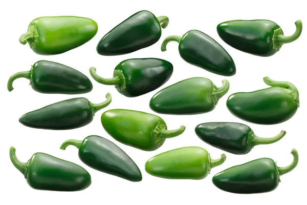 Pimentos Espécie Jalapeno Capsicum Annuum Fruit Vagens Simples Inteiras — Fotografia de Stock