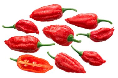 Dorset Naga veya Naga Morich biberleri (Capsicum chinense x C. frutescens), bütün ve yarıya indirilmiş olgun kapsüller.