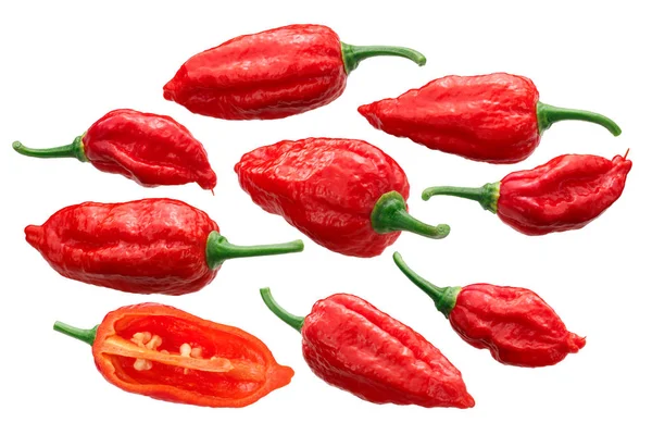 Dorset Naga Naga Morich Pepers Capsicum Chinense Frutescens Geheel Gehalveerd — Stockfoto