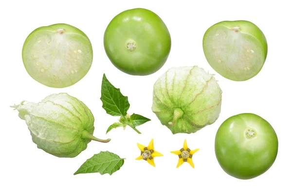 Physalis Tomatillo Oder Mexikanische Schalentomate Physalis Philadelphica — Stockfoto