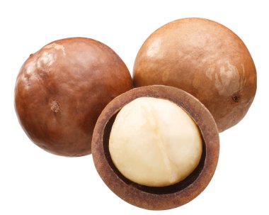 Macadamia fıstığı (M. integrifolia tohum), bütün ve kabuklu