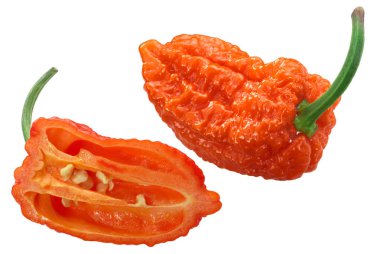 Turuncu Naga biberi (Capsicum chinense x C. frutescens), tüm kabuk ve yarım