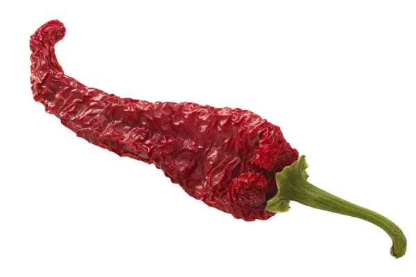 Dried kashmiri mirch pepper pod — Stock Photo, Image
