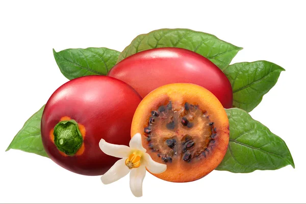 Tamarillo s. betaceum frutas, caminhos — Fotografia de Stock