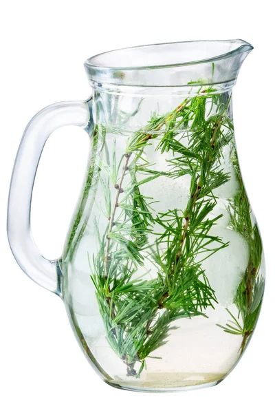 Larch detox infused water jug, paths — Stock Photo, Image