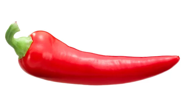 Röd Chile peppar c. annuum, stigar — Stockfoto