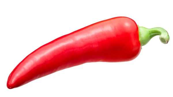 Röd Chile peppar c. annuum, stigar — Stockfoto