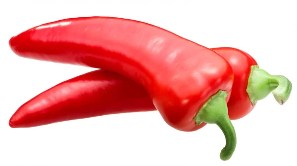 Red chile peppers c. annuum, paths — Stock Photo, Image