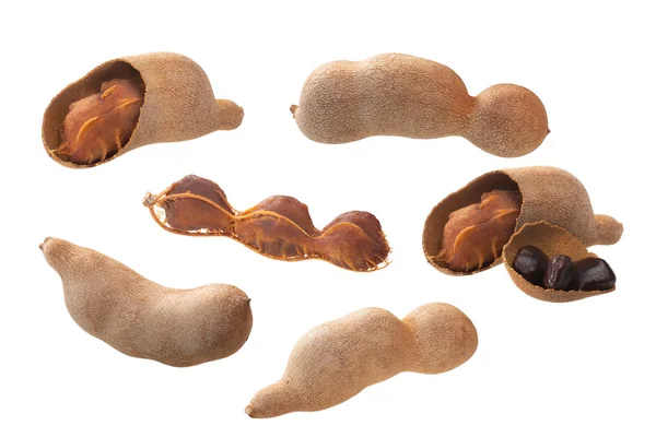 Tamarind pod t. Indica, paden, geïsoleerd — Stockfoto