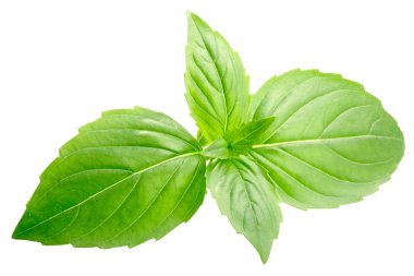 Fesleğen o. basilicum yaprakları, yolları