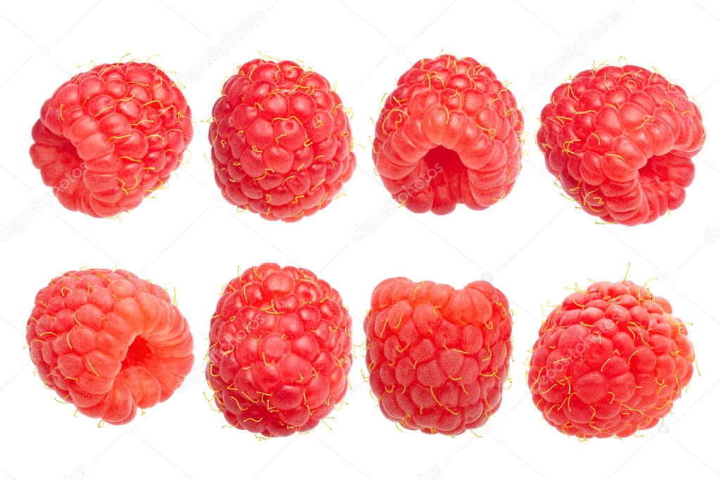 Raspberry r. idaeus fruits, paths