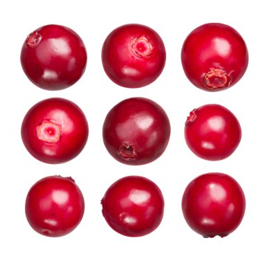 İsveç kirazı vaccinium vitis-idaea, yolları