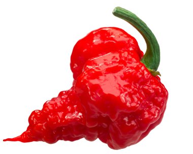 Carolina reaper biber c. chinense, yollar