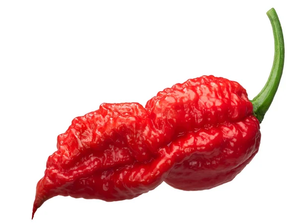 Bhut Jolokia hantu lada c. chinense, path — Stok Foto