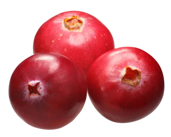 Three cranberries v. oxycoccs, paths — Stock Photo, Image