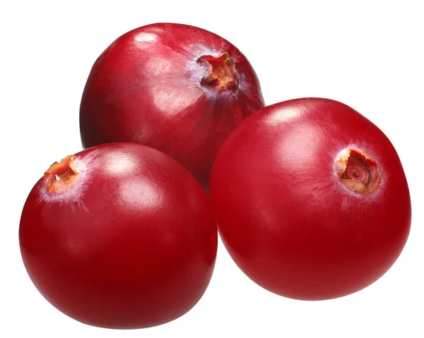 Three cranberries v. oxycoccs, paths — Stock Photo, Image