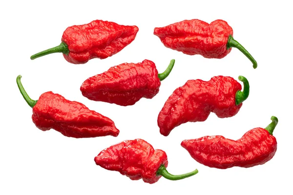 Fatalii peppers c. chinense, paths — Stock Photo, Image