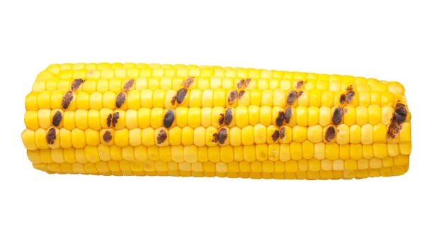 Grilled corn cob maize, paths — Stock Photo, Image