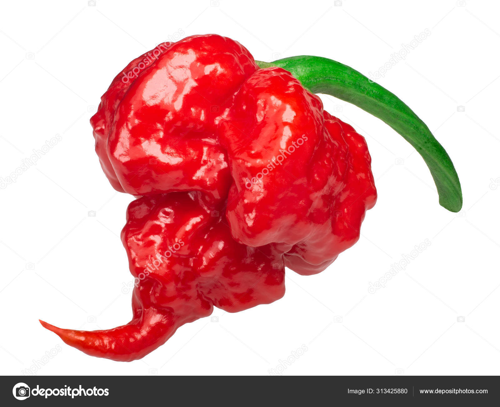 reaper pepper reaper pepper
