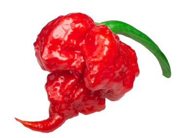 Carolina reaper biber c. chinense, yollar