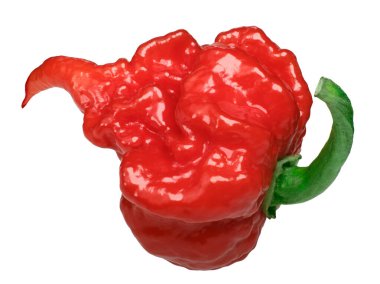 Carolina reaper biber c. chinense, yollar