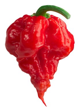 Carolina reaper biber c. chinense, yollar