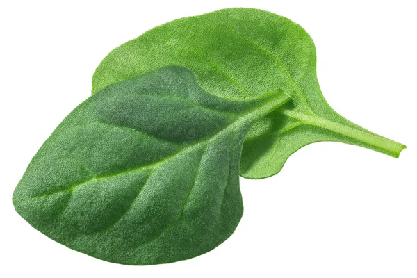New Zealand Spinach Leaves Tetragonia Tetragonoides Leaves Isolated Top View — 스톡 사진