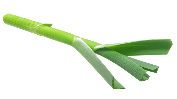 Zöld Fokhagyma Szár Allium Sativum Izolált — Stock Fotó