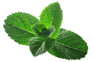 Naneli yapraklar (Mentha piperita yaprakları) izole w kırpma yolları