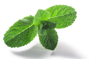 Naneli yapraklar (Mentha piperita yaprakları) izole w kırpma yolları, üst görünüm