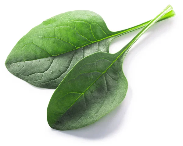 Fresh Spinach Leaves Spinacia Oleracea Isolated Clipping Paths Top View — Stock Photo, Image