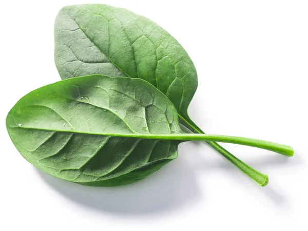 Fresh Spinach Leaves Spinacia Oleracea Isolated Clipping Paths Top View — Stock Photo, Image