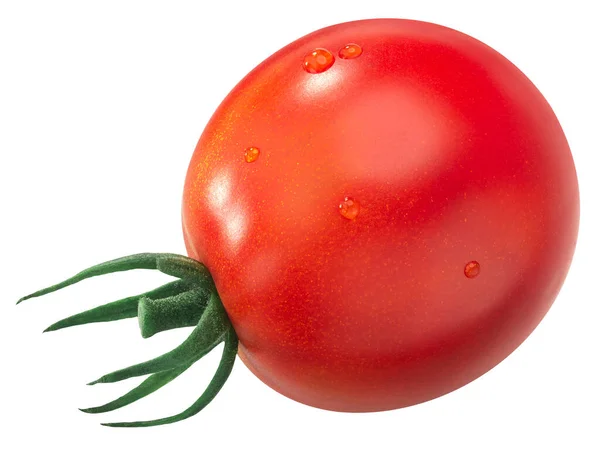 Milieu Globe Héritable Tomate Isolée — Photo