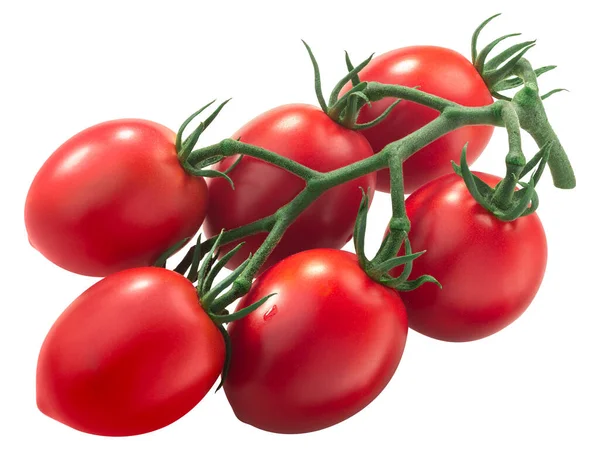 Cluster Plum Antho Rich Tomatoes Vine Isolated — Stock Photo, Image