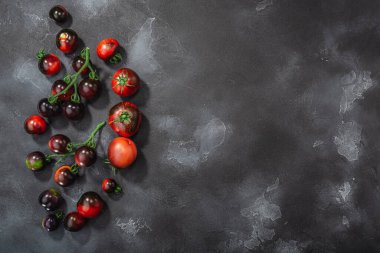 Koyu mor domatesler antosiyanin zengini, sarmaşık kümesi ve tekler üzerinde koyu desenli arka plan, üst görünüm