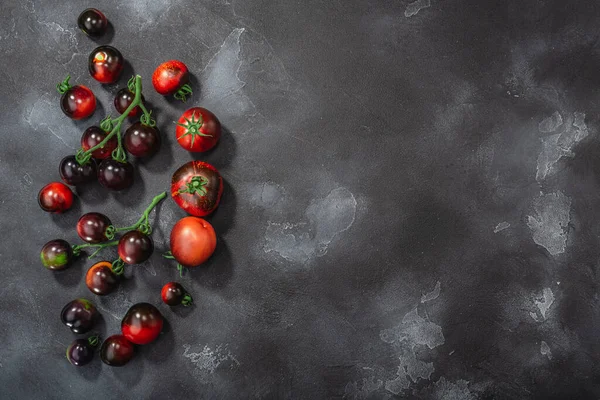 Koyu mor domatesler antosiyanin zengini, sarmaşık kümesi ve tekler üzerinde koyu desenli arka plan, üst görünüm