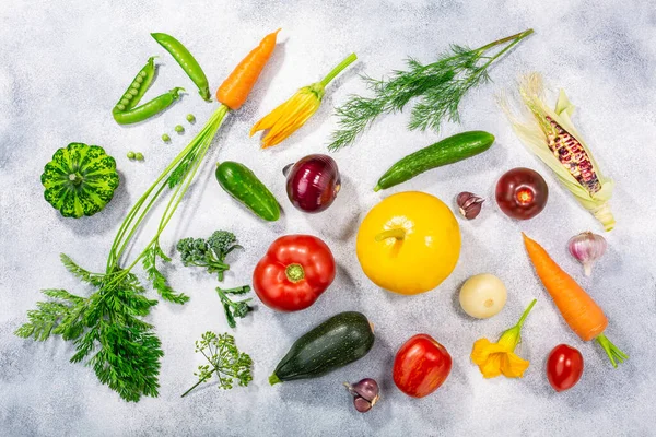 光のテクスチャを背景に 新鮮な季節の野菜を選択します ローカヴォア運動 地元の食事 きれいな食事 農場の新鮮なコンセプト — ストック写真