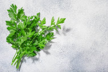Düz yapraklı Maydanoz (Petroselinum crispum) yaprakları gri desenli arkaplan arkaplan, üst görünüm
