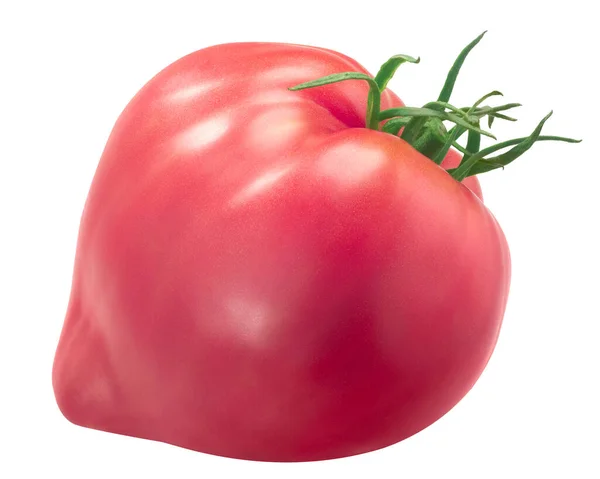 Sterling Old Norway Erbstück Tomate Typ Rosa Ochsenherz Isoliert — Stockfoto