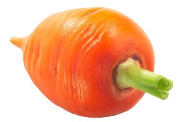 Kısa Rondo havucu (Daucus carota taproot) izole edildi